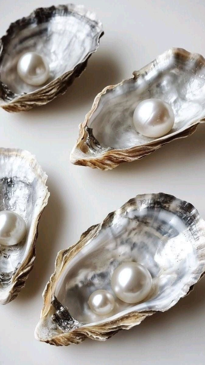 The Oyster